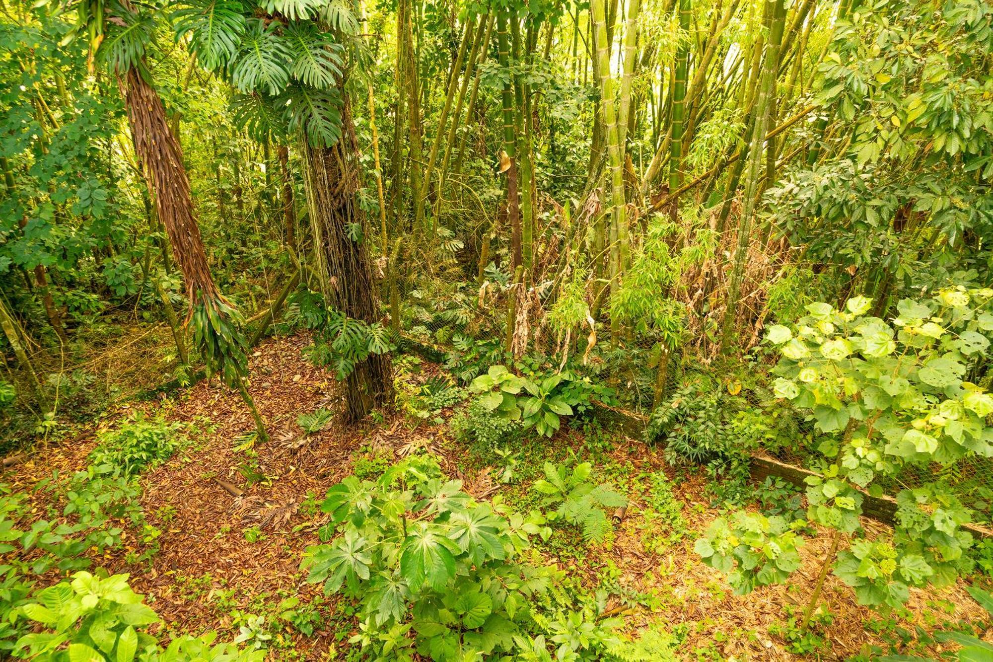 Aldea Sabatinga Vila Manizales Exterior foto